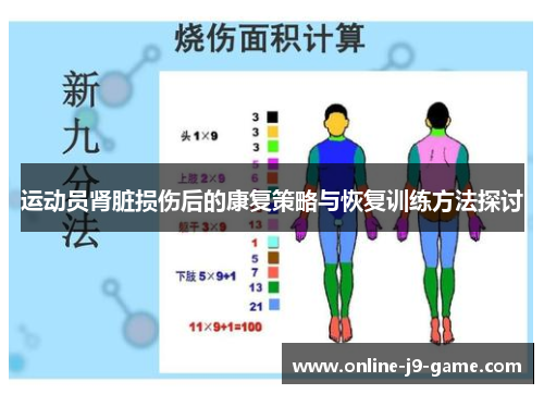 运动员肾脏损伤后的康复策略与恢复训练方法探讨