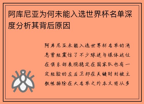 阿库尼亚为何未能入选世界杯名单深度分析其背后原因