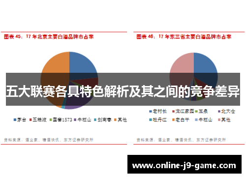 五大联赛各具特色解析及其之间的竞争差异 五大联赛各具特色解析及其之间的竞争差异